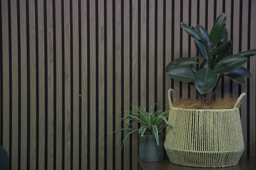 Elevate Your Space: Taking Your Living to the Next Level